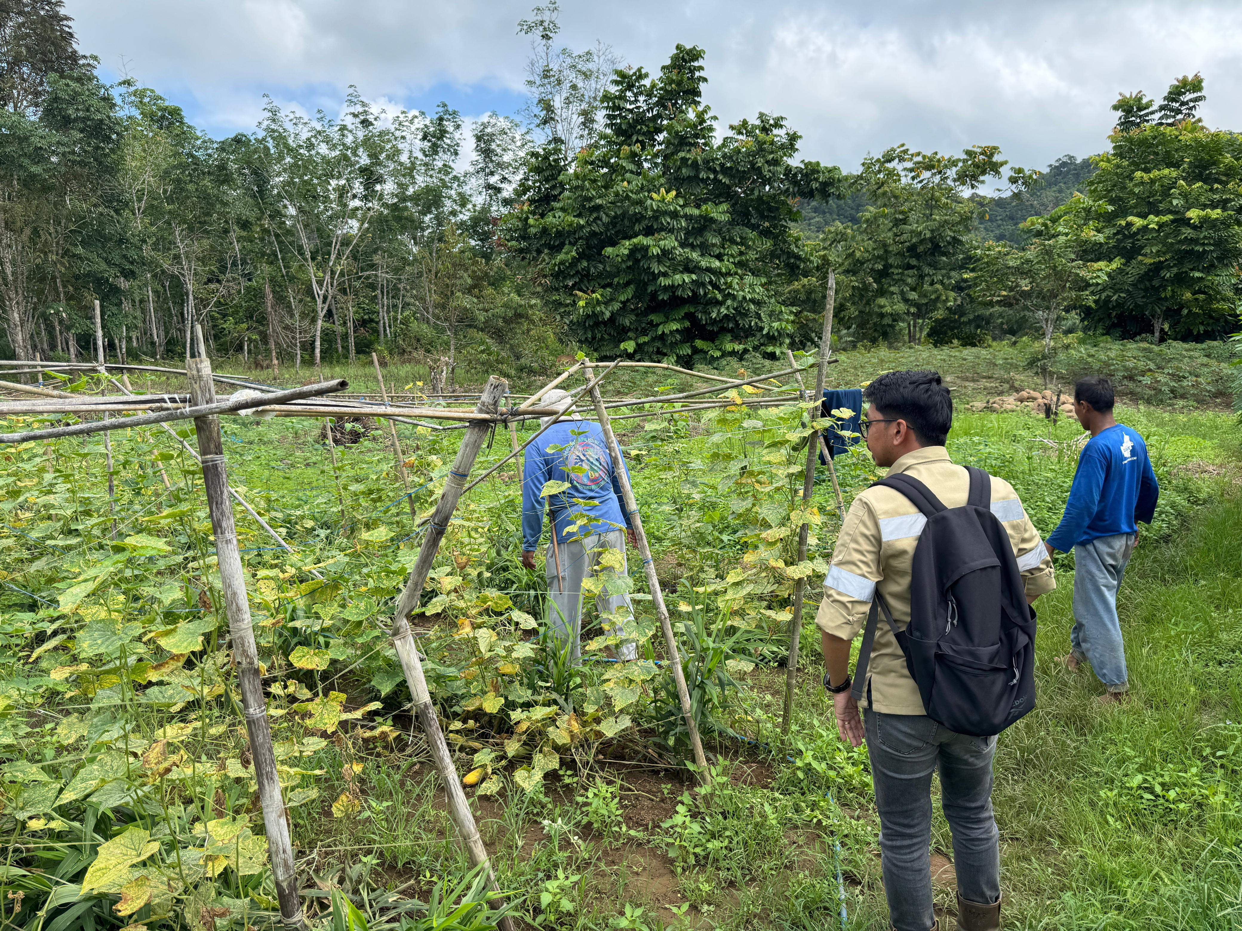 Monitoring Pelaksanaan PPM, CSR Pastikan Program Lancar