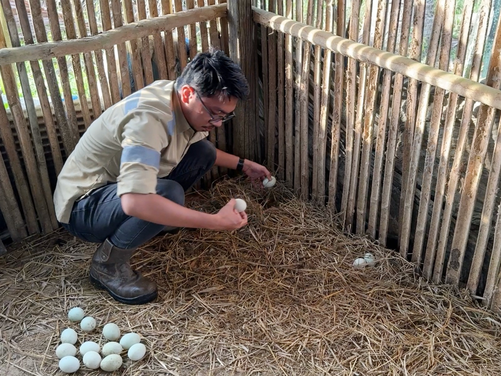 Panen Telur Bebek Rutin Kel. Peternak Binaan CSR SCG di Desa Mekarpura