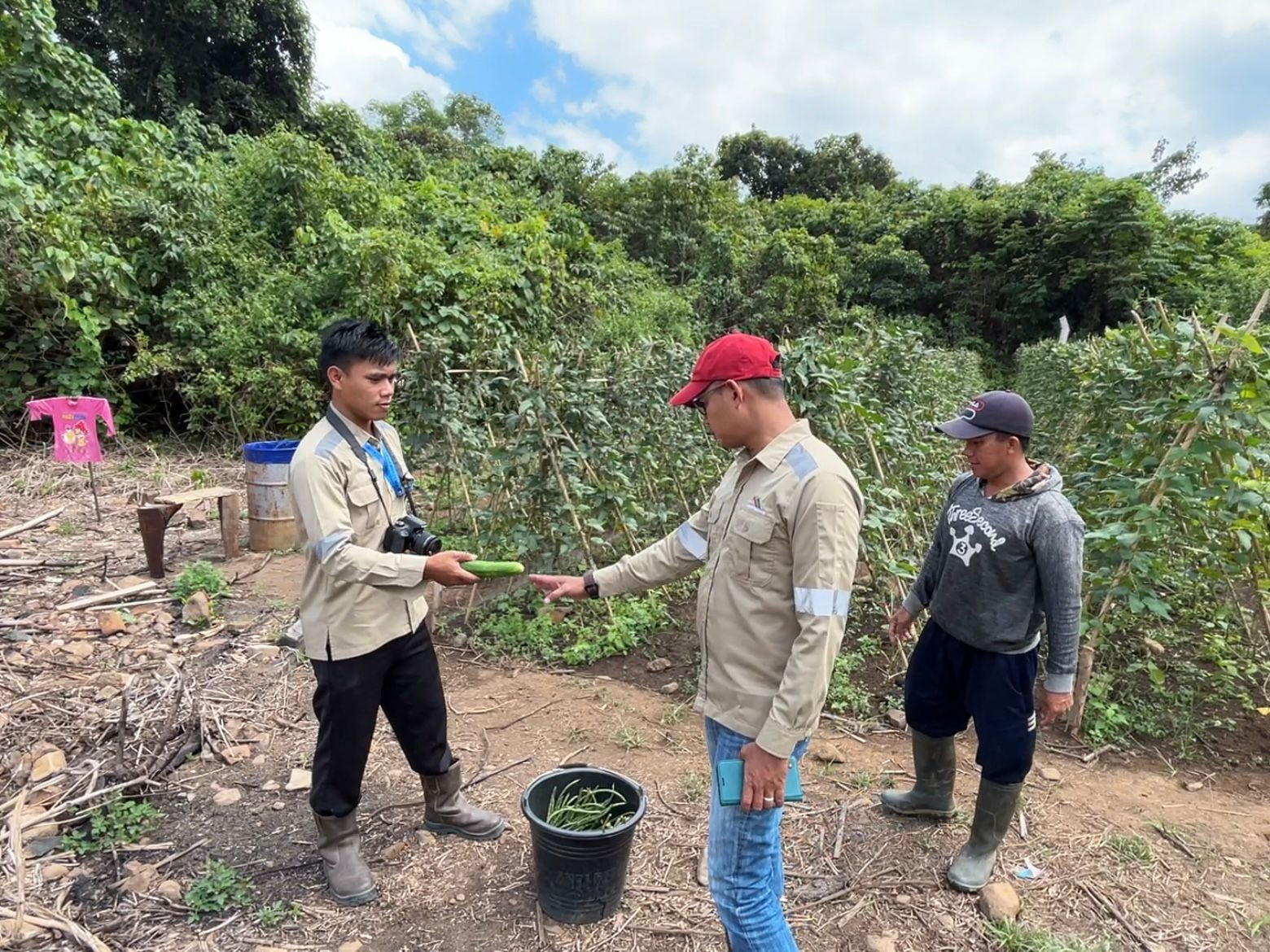 Tuai Hasil Memuaskan, Tim CSR Bangga Kepada Kelompok Tani di Pantai Baru