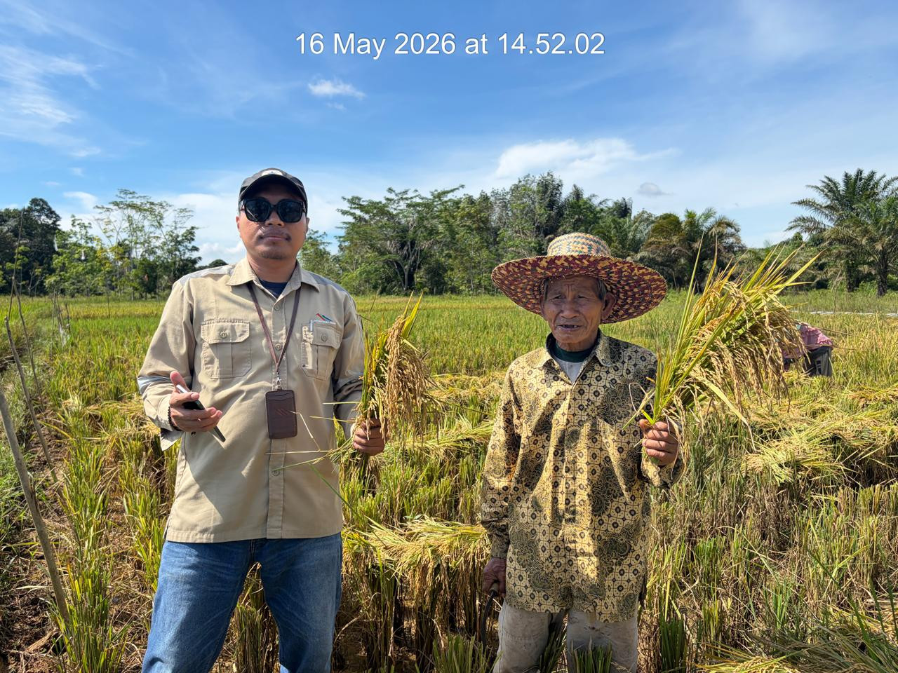 Panen Lebih Efisien Berkat Bantuan Sebuku Coal Group, Kelompok Tani Bina Usaha Rasakan Manfaat Nyata