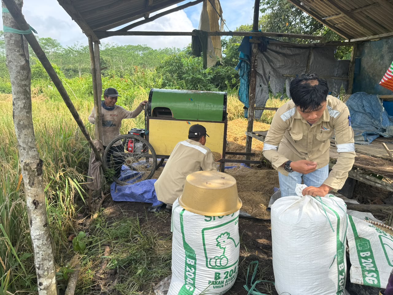Panen Bersama Petani Binaan, CSR Sebuku Coal Group Pastikan Bantuan Berjalan Optimal