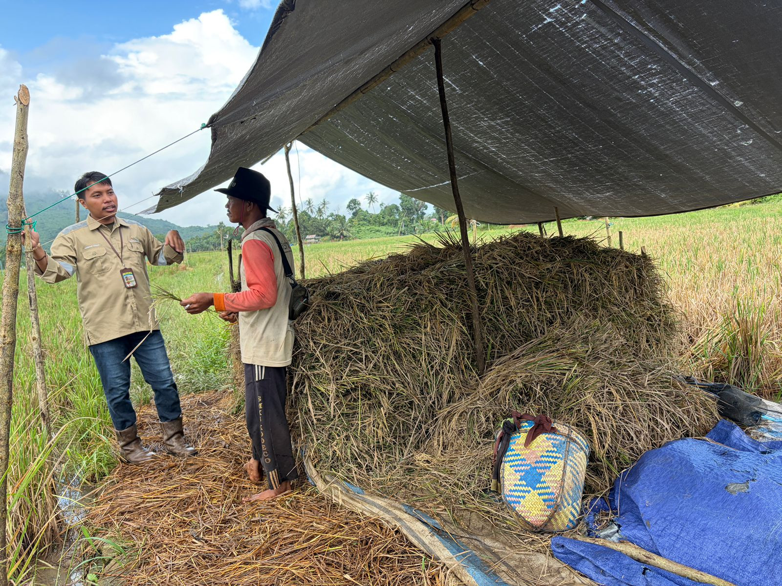 Perkuat Produktivitas Petani, CSR Sebuku Coal Group Lanjutkan Pendampingan Kelompok Tani Karya Bersa